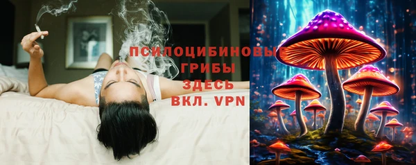 тгк Аркадак