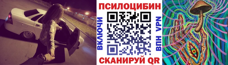 Галлюциногенные грибы Psilocybine cubensis  Купить закладки  Урюпинск 